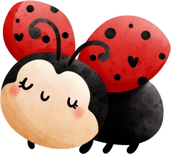 ladybug